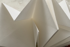concertina